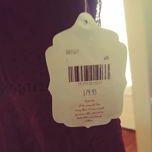 Altar'd State lace zipper back dress - Picture 6 of 7